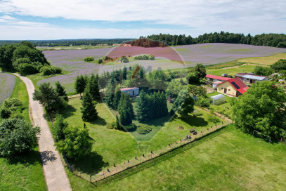 Dom Sprzedaż Janowiec