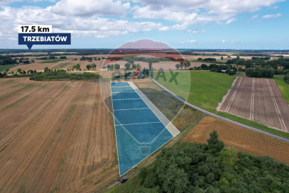 Działka Sprzedaż Morowo