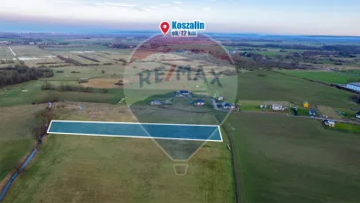 Działka na sprzedaż Będzino, 6 105 m² – zdjęcie 8 z 10