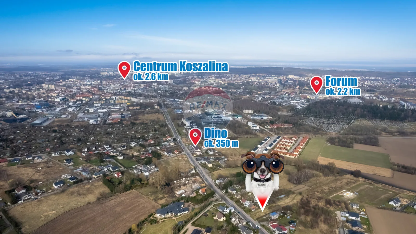 Działka na sprzedaż Koszalin, Sarzyno, ul. Połczyńska, 2 784 m² – zdjęcie 8 z 12