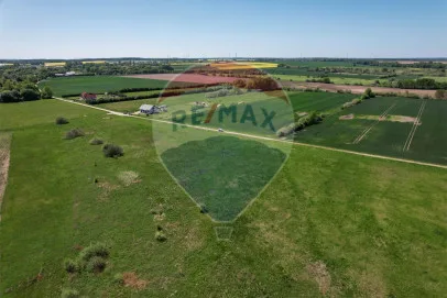Działka na sprzedaż Bobrowiczki, 3 197,36 m² – zdjęcie 13 z 15